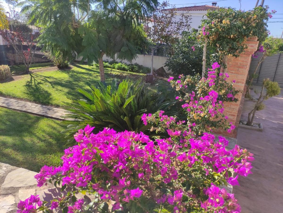 Villa Parets De Sucre Les Cases d'Alcanar Bagian luar foto